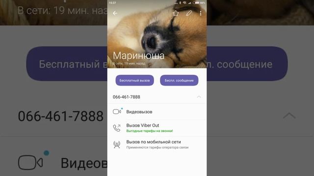 Бешиный квадрат смотреть онлайн