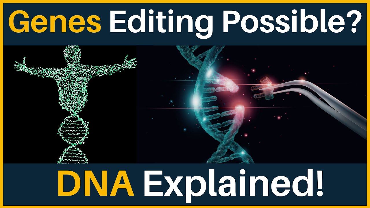 DNA Explained | What is DNA | CRISPR Technology смотреть онлайн