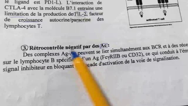 Immunologie partie_9 : La régulation et TD1 смотреть онлайн