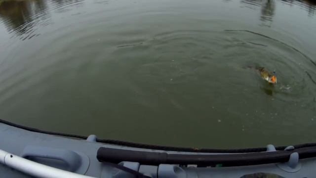 Мой первый СУДАК смотреть онлайн