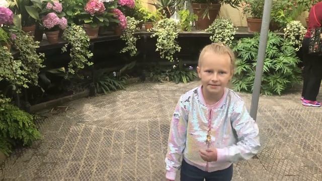 Oxford Botanic Garden смотреть онлайн