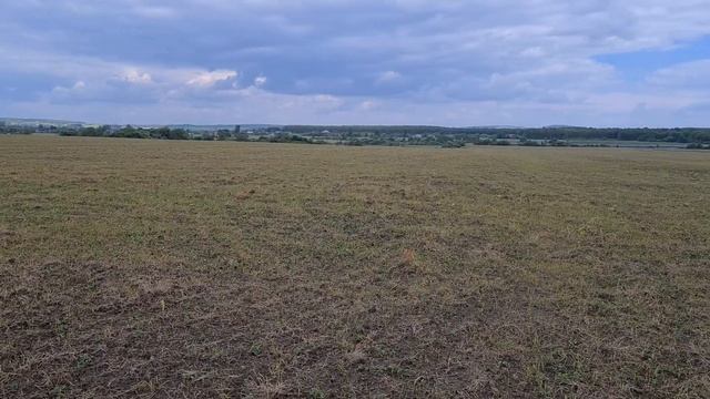 Результат дії Геліос Екстра через тиждень після оприскування смотреть онлайн