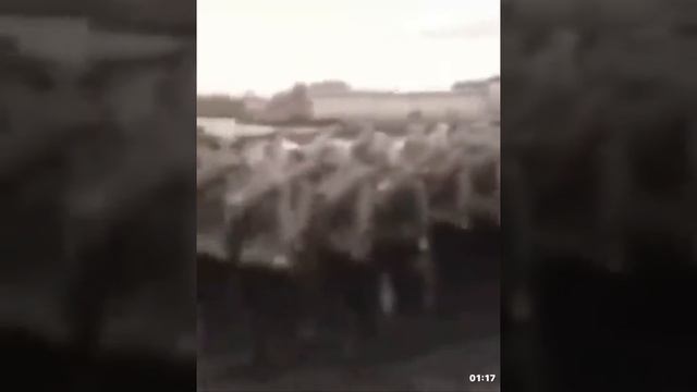 История чеченца В.О.В смотреть онлайн