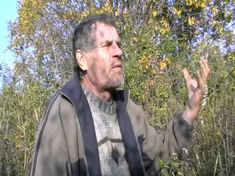 Суть и смысл феномена песни! смотреть онлайн