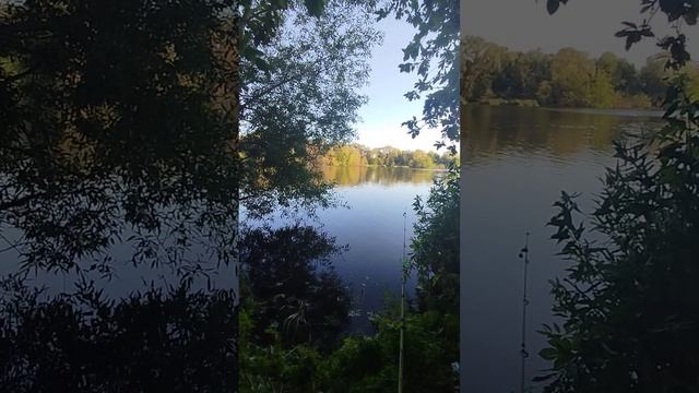 #рыбалка#2024#лето#вечер#10 смотреть онлайн