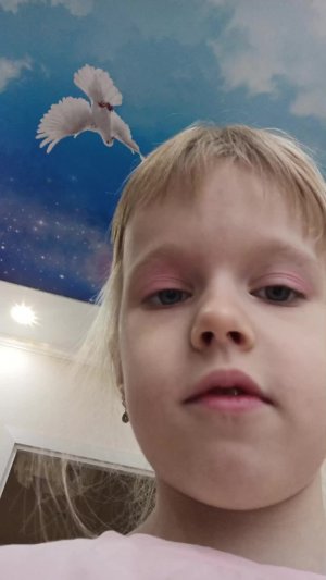 утренние шоу