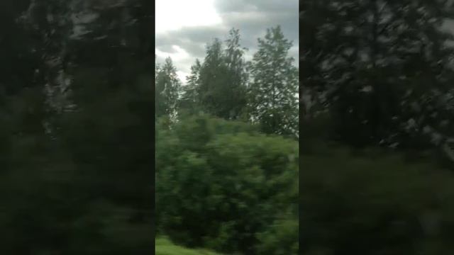 Тимур Вагапов - МУЛАТКА LIVE смотреть онлайн