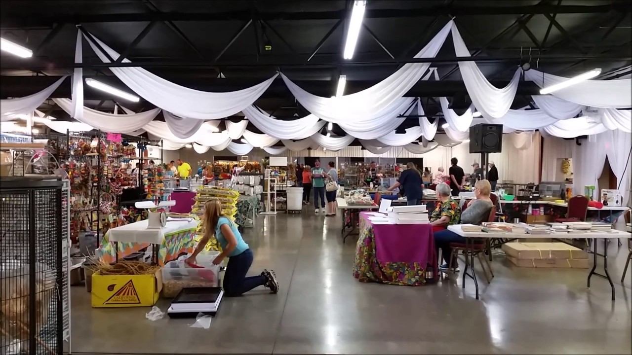 Avicultural Society of Tucson Spring 2017 Bird Expo смотреть онлайн
