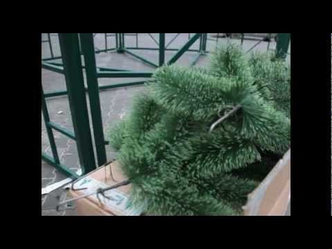 Ёлку собирают в городе Шахты смотреть онлайн