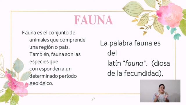Flora y Fauna de Honduras смотреть онлайн