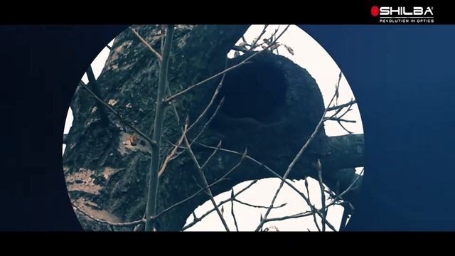 Catalejo Shilba Cyclops 2 смотреть онлайн