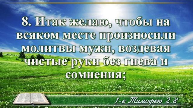 ВидеоБиблия Первое послание к Тимофею глава 2 с музыкой Драматизированный перевод смотреть онлайн