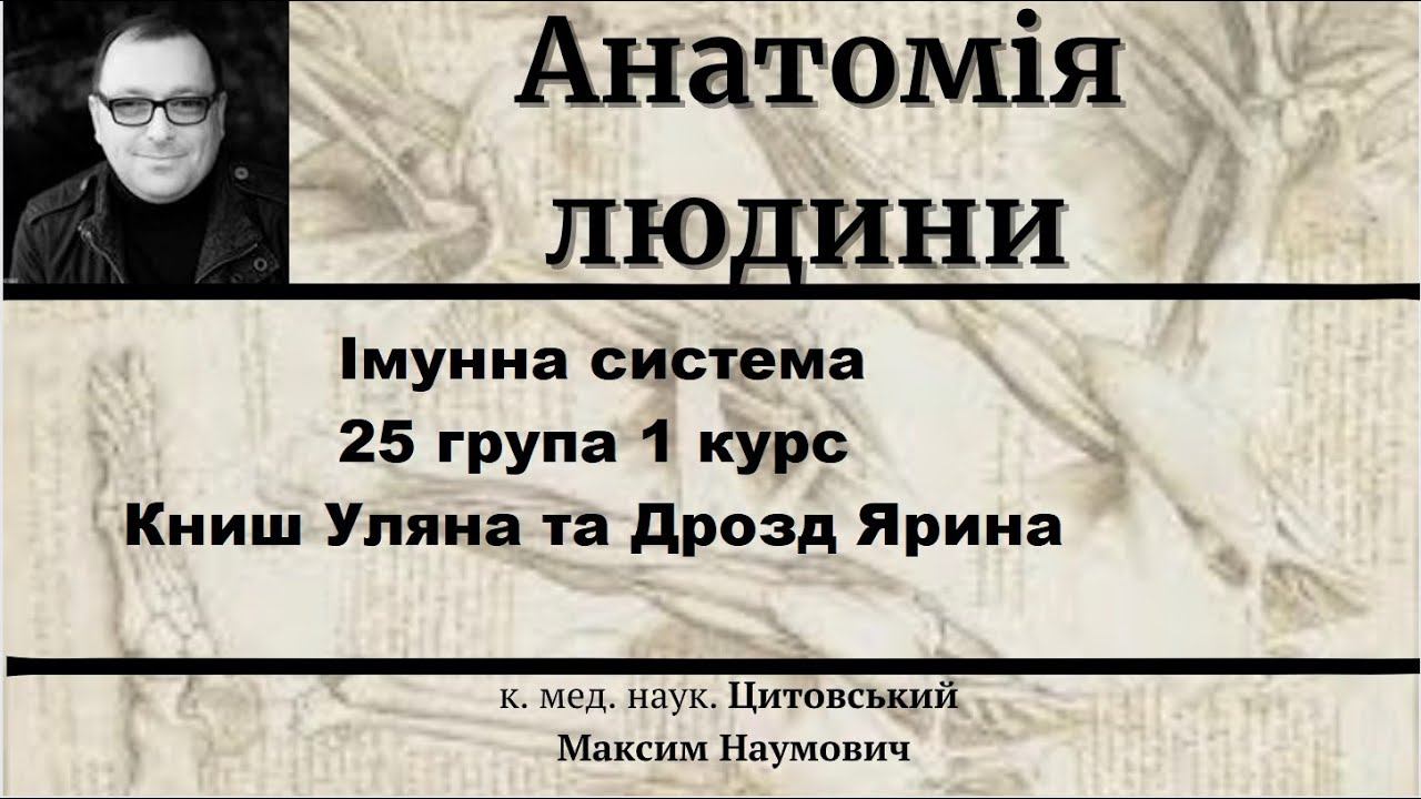 «Імунна система» - 25 група, 1 курсу, 2 медичного факультету - Книш Уляна та Дрозд Ярина смотреть онлайн