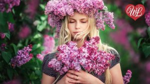 ДОЧЕНЬКА ♥ КРАСИВЫЕ ПЕСНИ ДЛЯ ДУШИ ♥ ПЕСНИ СПЕТЫЕ СЕРДЦЕМ WLV ♥ RUSSIAN MUSIC HIT