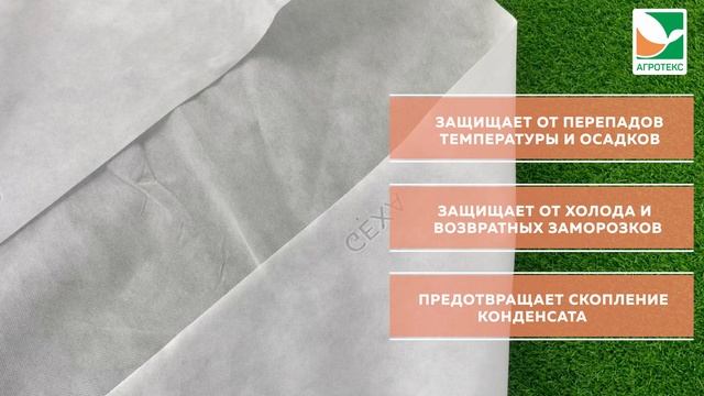 Научные чудеса