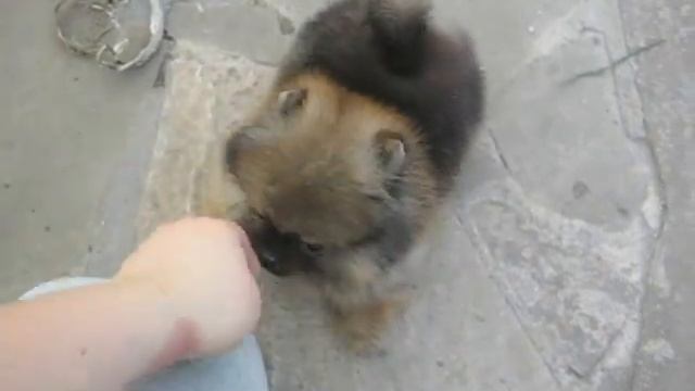 м 148.AVI смотреть онлайн