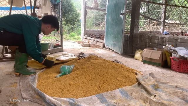 Sick chickens, mix medicine in chicken feed, take bananas to feed buffaloes смотреть онлайн