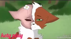 Коты воители  "kiss me"