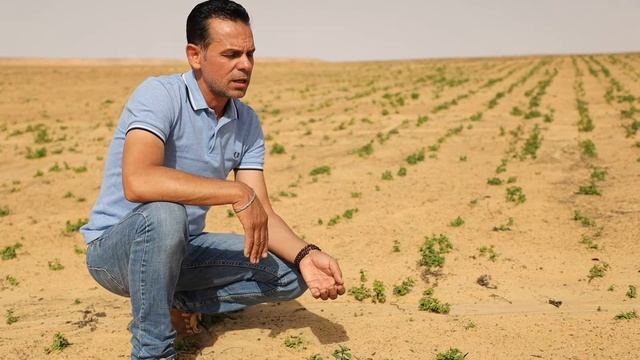 Peppermint/Spearmint with Amr Sabahy смотреть онлайн