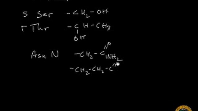 Amino Acids смотреть онлайн