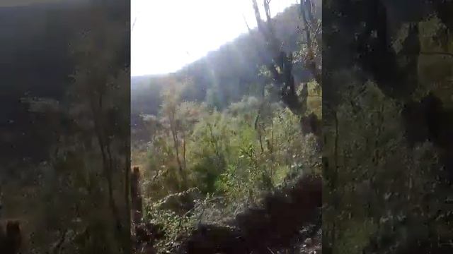 Ferrux Bayramov смотреть онлайн