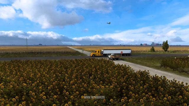 Let 2023 be the Year of the Sunflower смотреть онлайн