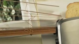 Clever cats always get away with it! | PURINA FELIX
