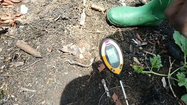 How to Use a PH Meter to Provide Some Basic Information on Soil fertility by CHUO DENIS #Zerohunger смотреть онлайн