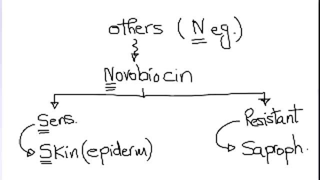 TA7 MICRO USMLE HIT 1: Gm + lab algorithm смотреть онлайн