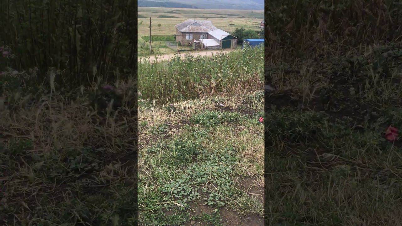 Идём на скамейку