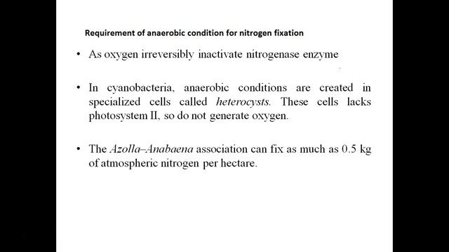 Nitrogen fixation in plants смотреть онлайн