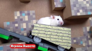 Хомяк попал во ВСЕЛЕННУЮ МАЙНКРАФТА ! Выбираемся из лабиринта вместе !