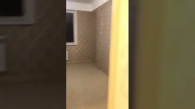 Ленина 86. Монолитный дом 👍🏼👍🏼88 квадратов Новый ремонт. смотреть онлайн