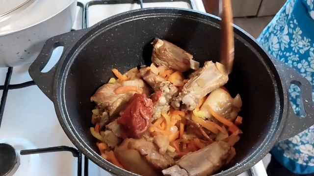 Весёлые научные экспериментирующие программы