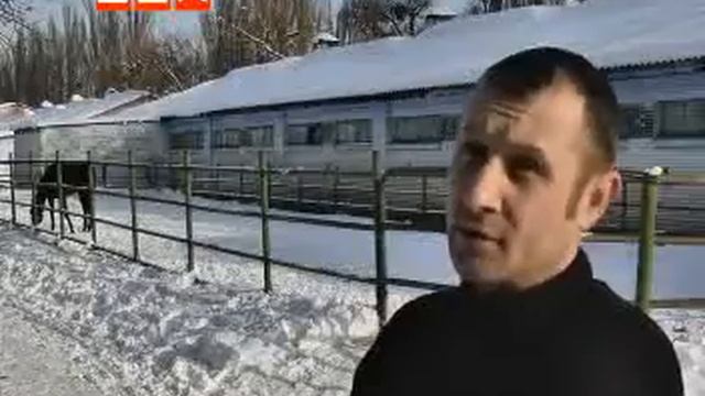 Столичный ипподром просится в МинАП. смотреть онлайн