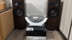 Pioneer a -20