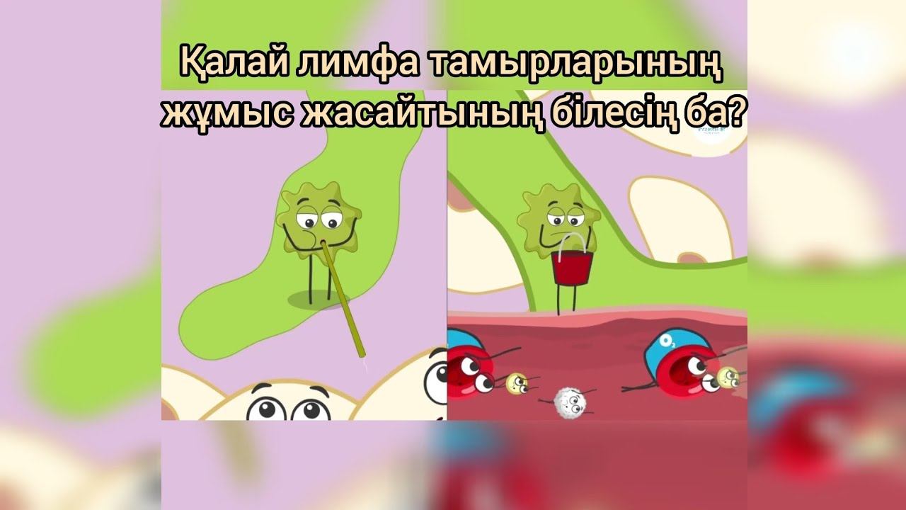 Қалай лимфа жүйесінің жұмыс жасайтынын білесің ба? Лимфа дегеніміз не? смотреть онлайн