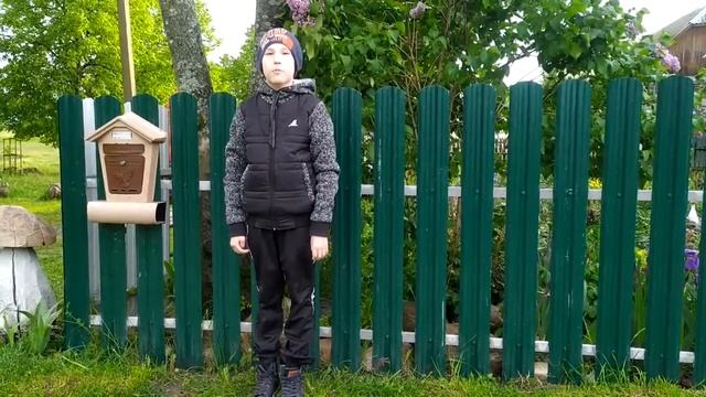 Общероссийский день библиотек смотреть онлайн