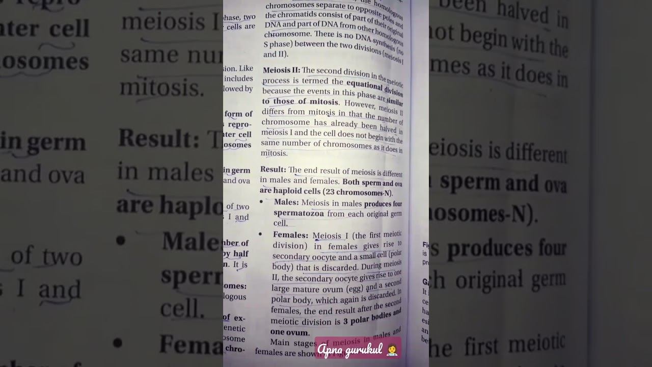 MEIOSIS#meiosis 🦠🧠#nursingnotes #nursinglectures #nursing #mitosis #anaphase смотреть онлайн
