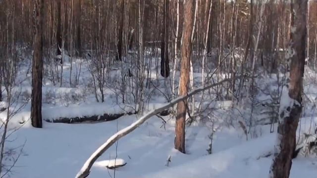За соболем, сезон 2021 смотреть онлайн