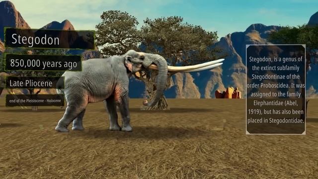 Elephant Evolution | In One Minute