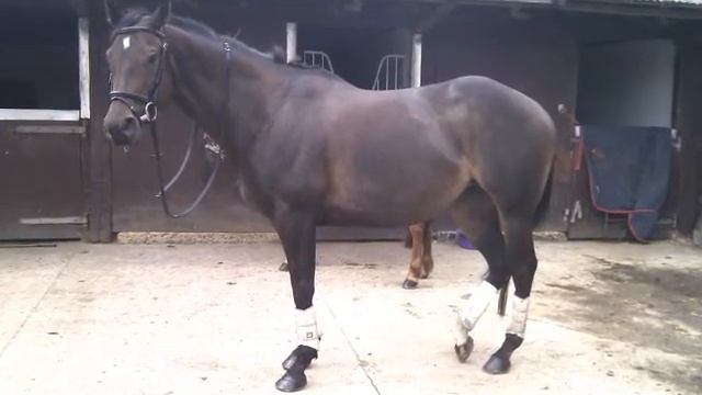 Britney;; Gravity смотреть онлайн