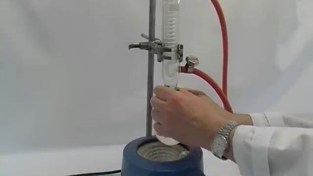 Reflux смотреть онлайн
