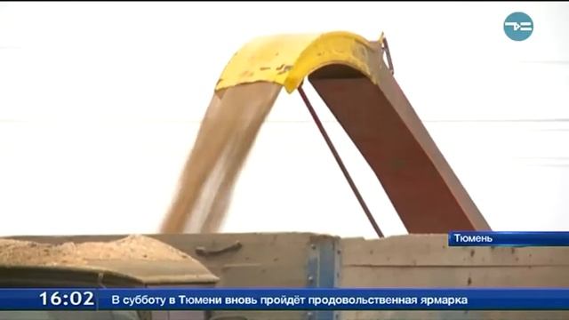 Сфера семеноводства нуждается в развитии смотреть онлайн