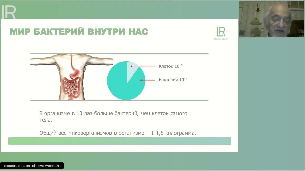 ЛР ЛАЙФТАКТ Про 12 .. мікробіота організму людини смотреть онлайн