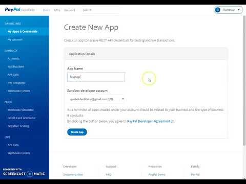 Подключение PayPal