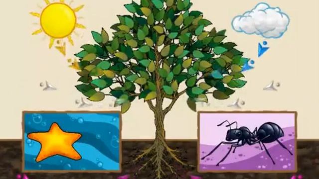 "Plant or Animal" Life Science Song for Kids by Waterford.org смотреть онлайн