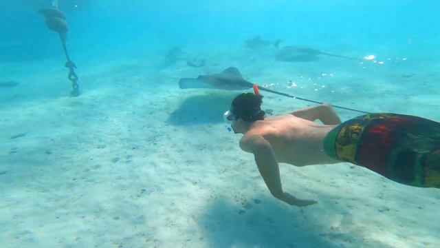 Honeymoon French Polynesia 4K (Tahiti / Moorea / Bora Bora / Rangiroa / Fakarava) смотреть онлайн