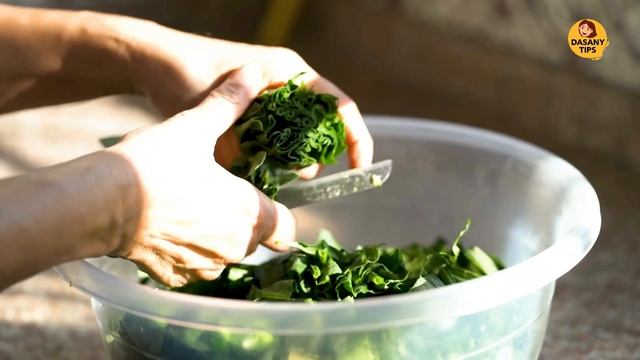 7 Lutein Rich Vegetables That Can Improve Your Vision and Eye Health! смотреть онлайн