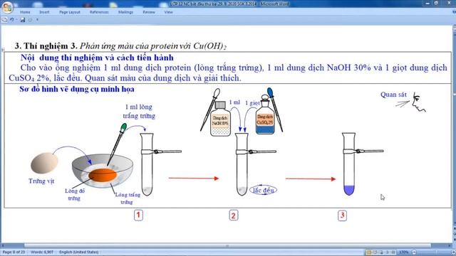Bài 15- Bài Thực Hành 2 -Một Số Tính Chất Của Amin, Amino Axit Và Protein. Hóa Học 12 - Nâng Cao смотреть онлайн